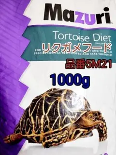 2026年最新】マズリ リクガメの人気アイテム - メルカリ