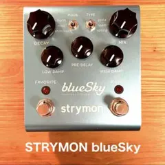 2026年最新】strymon blueskyの人気アイテム - メルカリ