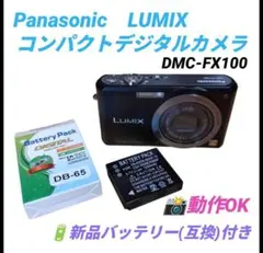 2026年最新】lumix fx100の人気アイテム - メルカリ
