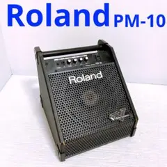 2026年最新】ROLAND PM-10の人気アイテム - メルカリ