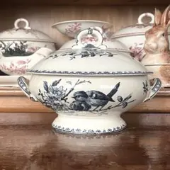 2026年最新】サルグミンヌfavoriの人気アイテム - メルカリ