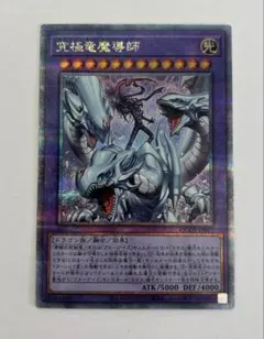 2026年最新】究極竜魔導師の人気アイテム - メルカリ