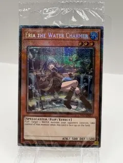 2026年最新】ウィン スターライト 遊戯王の人気アイテム - メルカリ