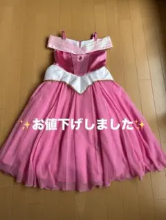 2026年最新】オーロラ姫 ビビディバビディブティックの人気アイテム