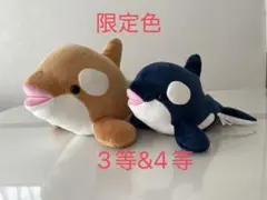 2026年最新】オルカくじ 2等の人気アイテム - メルカリ