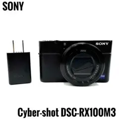2026年最新】Cyber shot DSC RX100M3の人気アイテム - メルカリ