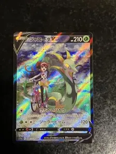 2026年最新】ジャローダV CSRの人気アイテム - メルカリ