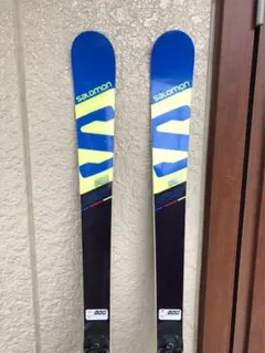 2026年最新】スキー gs 173の人気アイテム - メルカリ