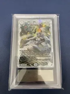 2026年最新】祝の頂 sspの人気アイテム - メルカリ