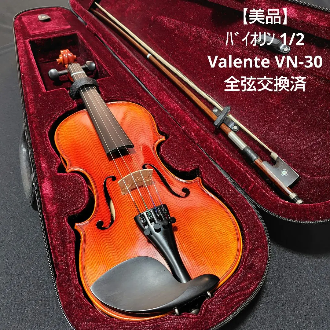 2026年最新】valente バイオリンの人気アイテム - メルカリ