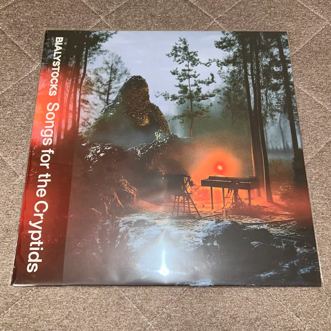 2026年最新】BIALYSTOCKS レコードの人気アイテム - メルカリ