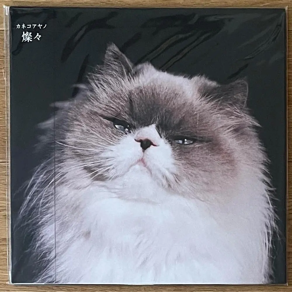 2026年最新】カネコアヤノ 燦々 レコードの人気アイテム - メルカリ