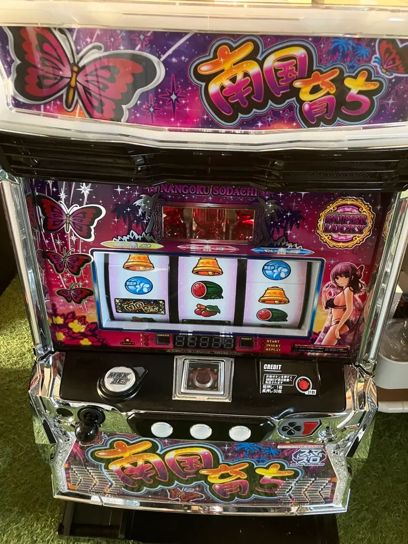 2026年最新】南国育ち 実機の人気アイテム - メルカリ