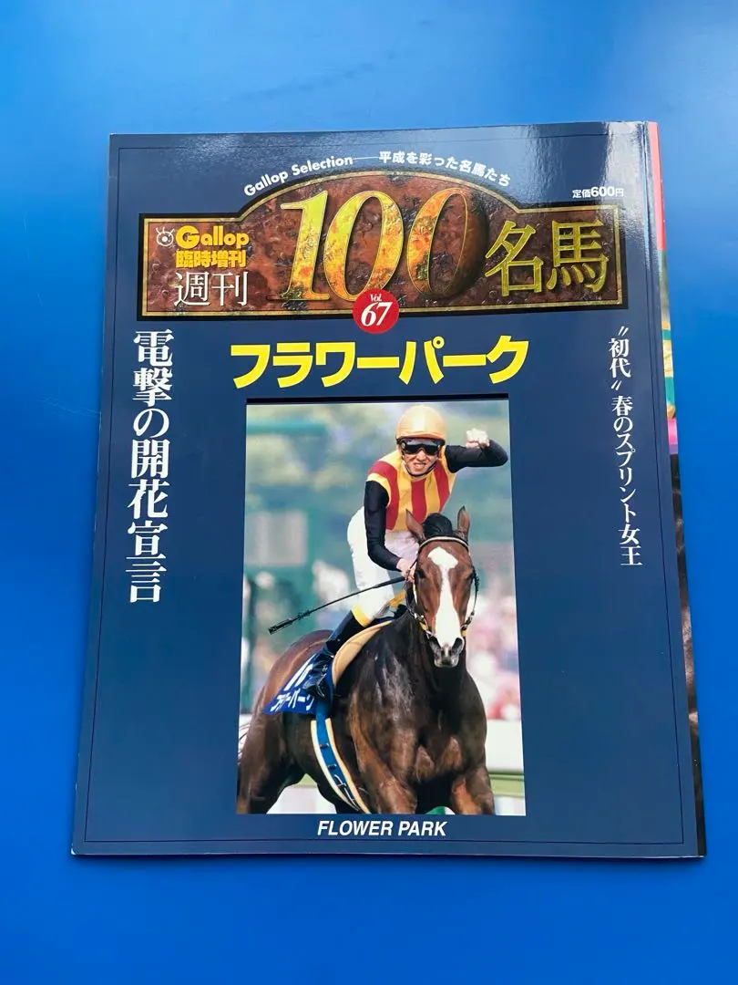 2026年最新】名馬 GALLOP 100の人気アイテム - メルカリ