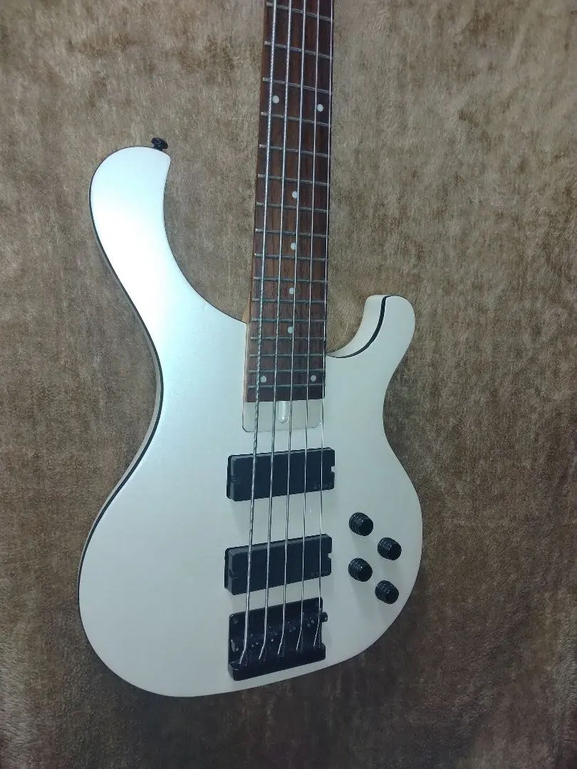 2026年最新】cort 5弦の人気アイテム - メルカリ