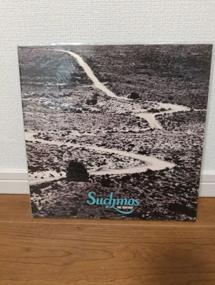2026年最新】suchmos レコード ashtrayの人気アイテム - メルカリ