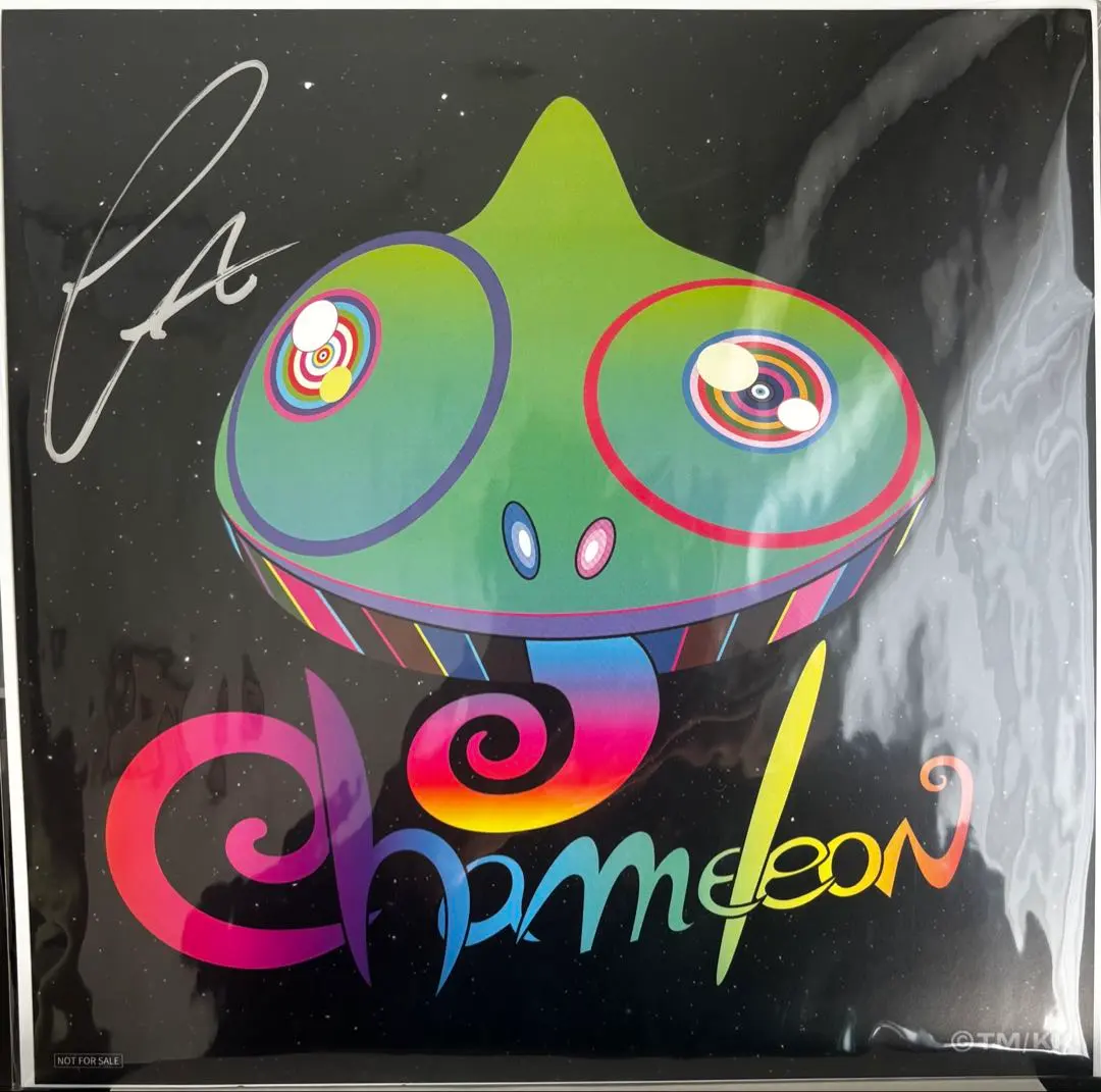 2026年最新】chameleon セカオワの人気アイテム - メルカリ