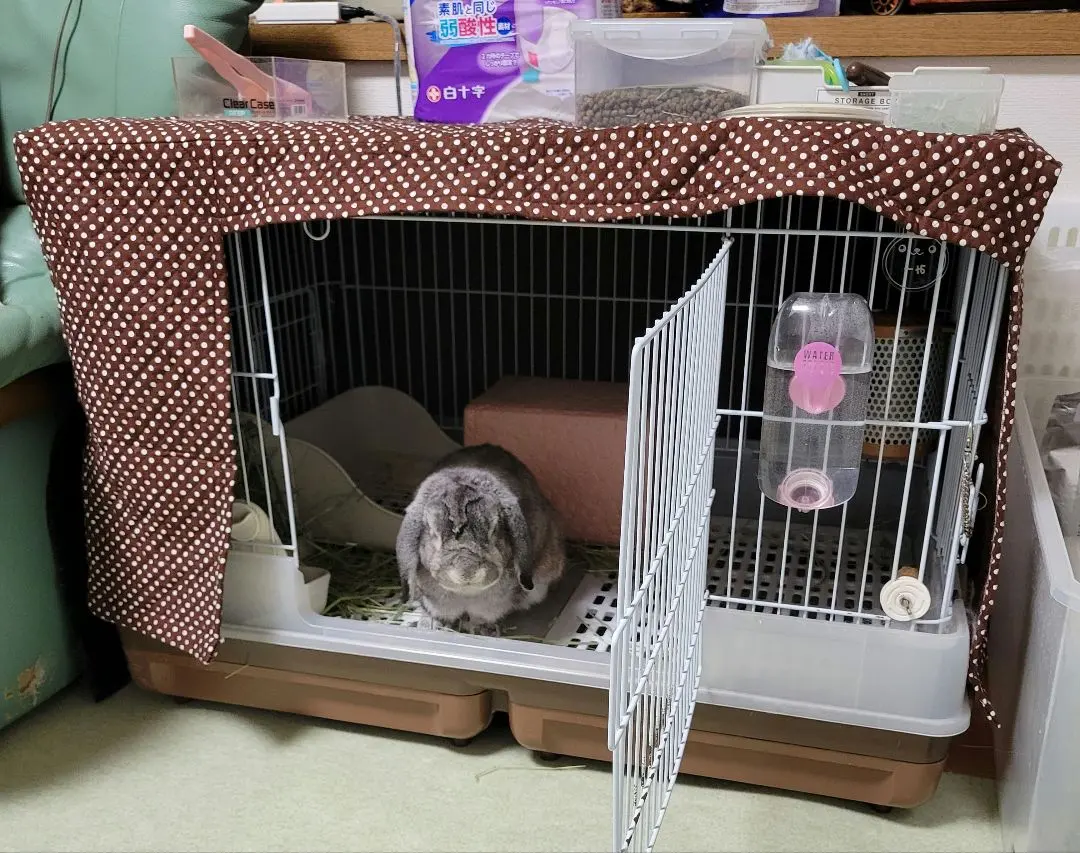 2026年最新】うさぎのカンタンおそうじケージワイドの人気アイテム