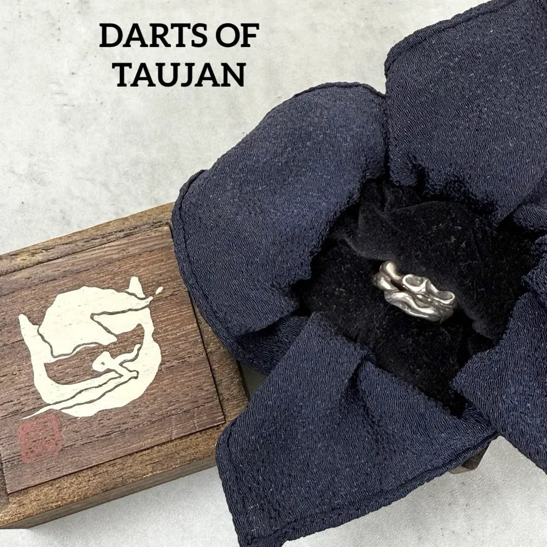 2026年最新】DARTS TAUJANの人気アイテム - メルカリ