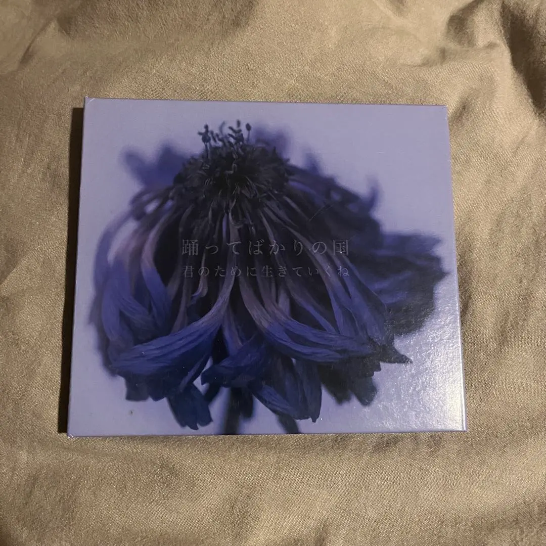 2026年最新】君のために生きていくね 踊ってばかりの国の人気アイテム