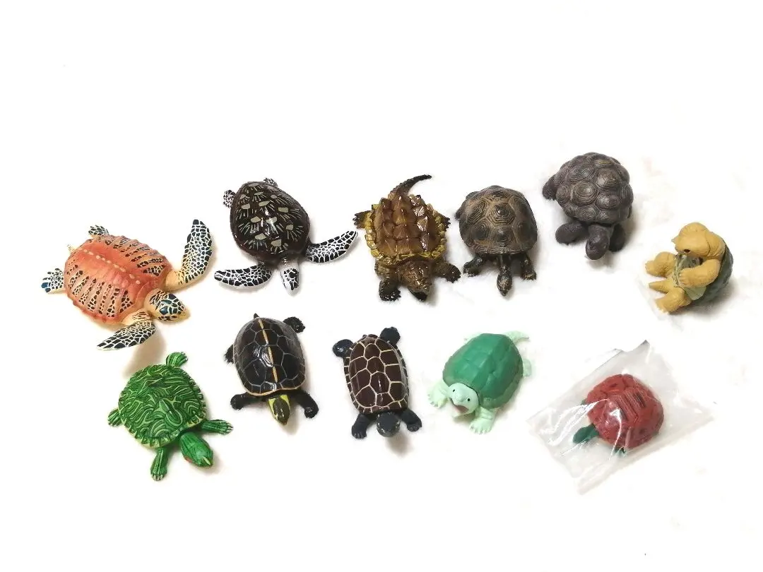 2026年最新】カミツキガメの人気アイテム - メルカリ