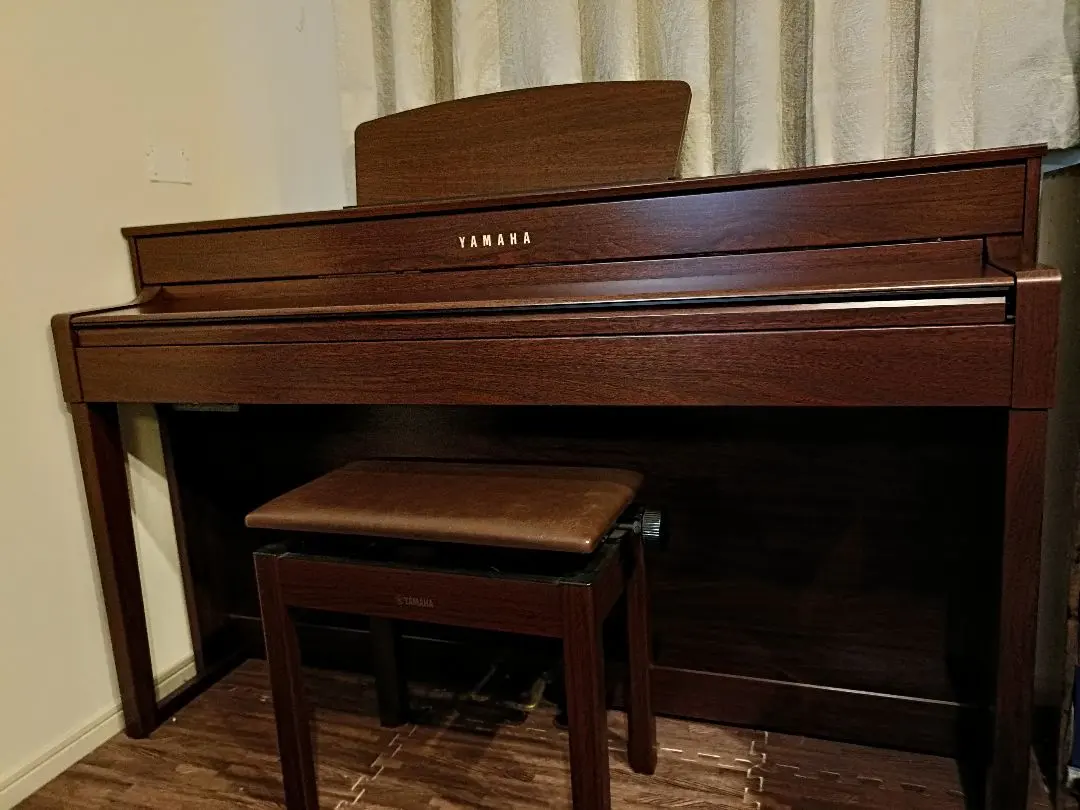 2026年最新】clp-535の人気アイテム - メルカリ