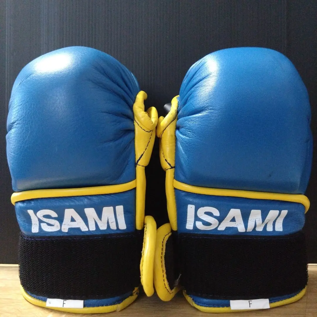 2026年最新】ISAMI パウンドグローブの人気アイテム - メルカリ