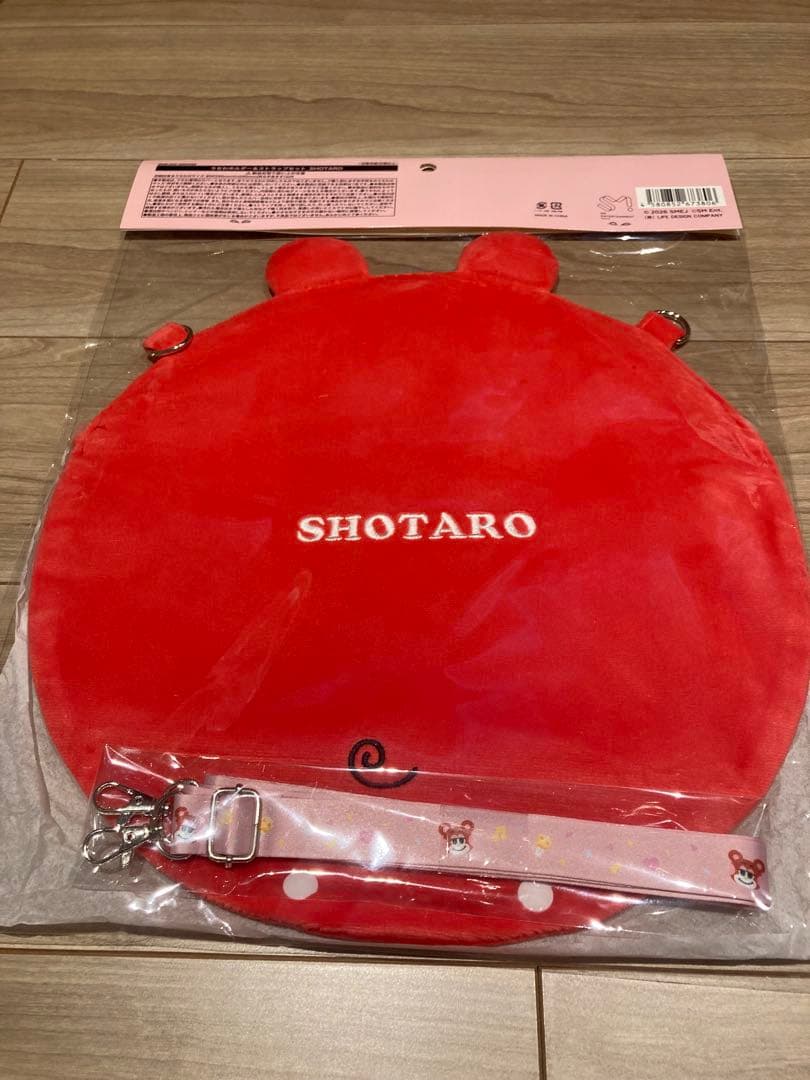 RIIZE 東京ドーム グッズ うちわホルダー＆ストラップセット