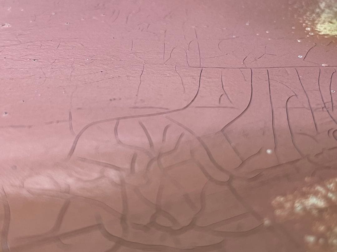 ア*ト様 DeliciousTaylormade シャンベルタン クロドベーズ - メルカリ