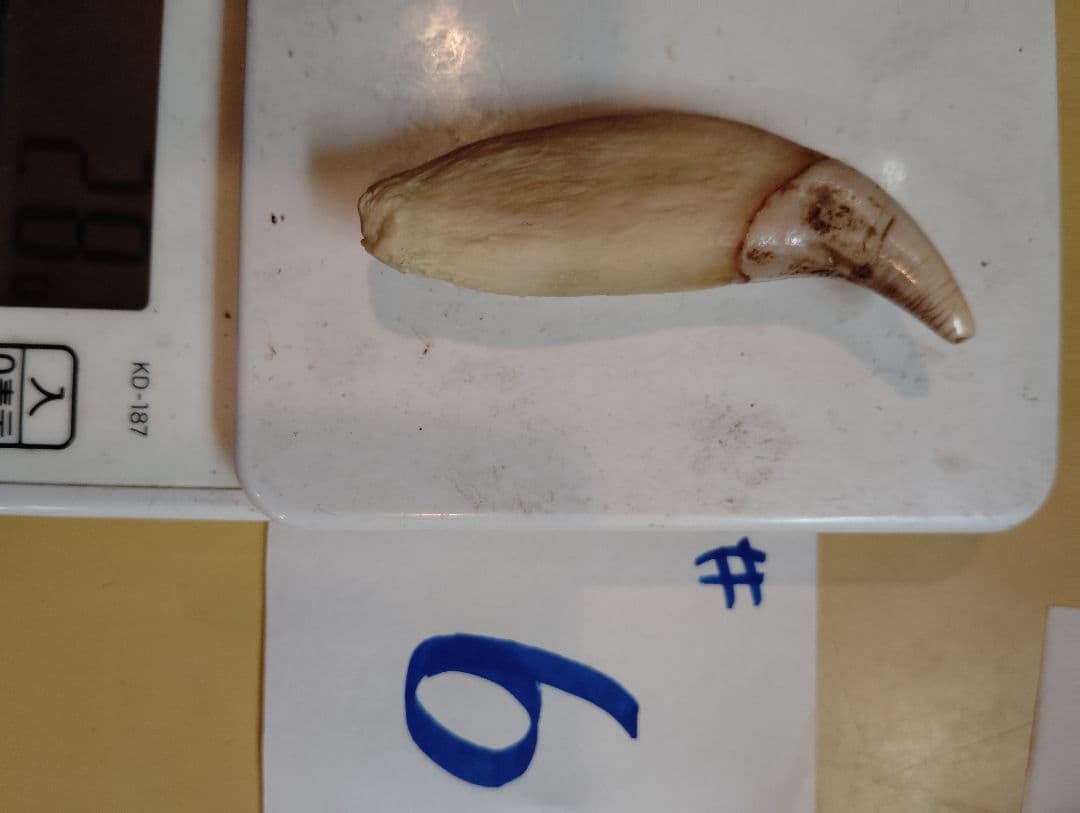 kubota 北海道紋別産 #1.5.6 合計3件 Kubota F3710 Front End 72