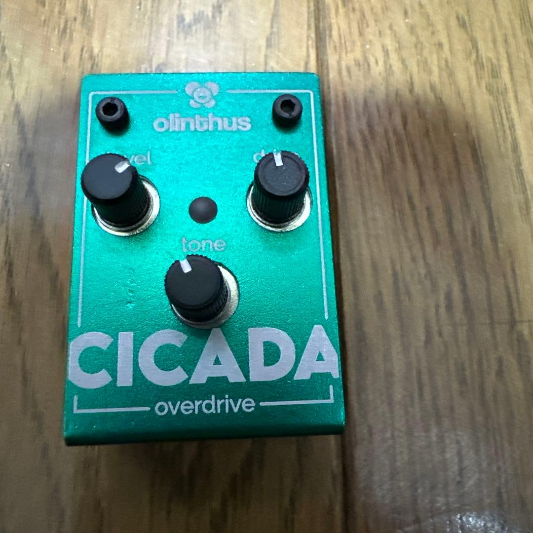 olinthus CICADA オーバードライブペダル World's Smallest Effects Pedal! – Cicada Overdrive - Olinthus
