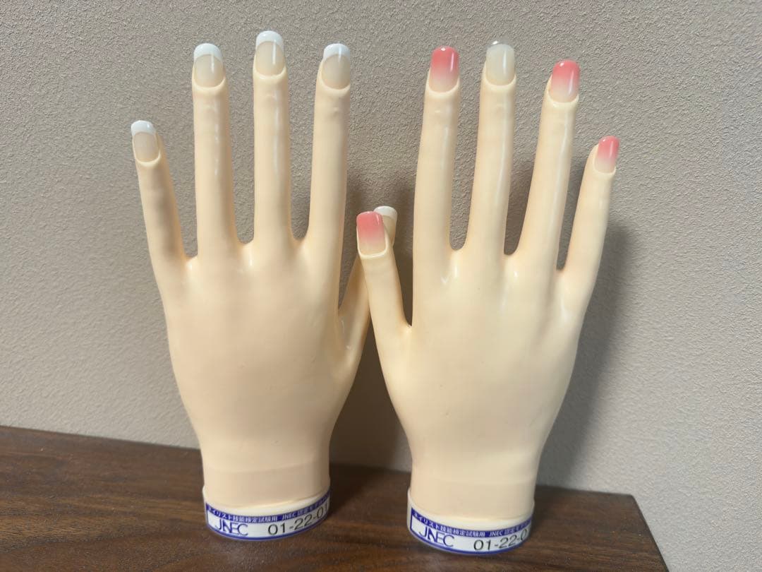 JNEC認定モデルハンド STモデルハンド 滝川（TAKIGAWA） JNEC認定ハンド STモデルハンド 右手 ネイルチップ
