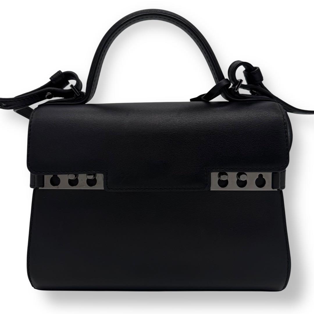 極美品□デルヴォー タンペートPM ショルダーバッグ 2WAY ハンドバッグ