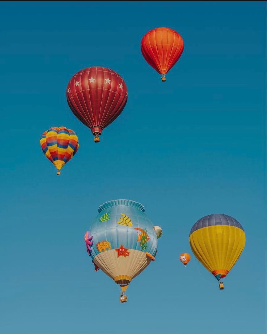 ロンパース・カバーオール mctiiiy ツーウェイオール ロンパース カバーオール[品番：HU000003933]｜chil2