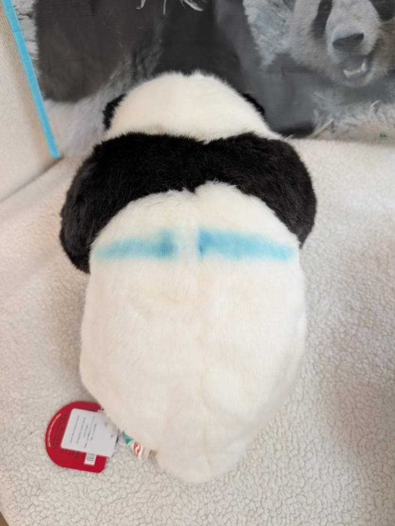 上野動物園 シャオシャオ&レイレイ ミニ抱っこぬいぐるみ - メルカリ