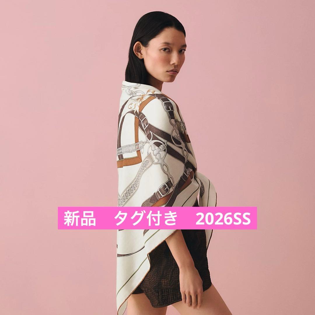 新品 HERMESエルメストライアングルジェアン《朝の散歩》新作 カシシル