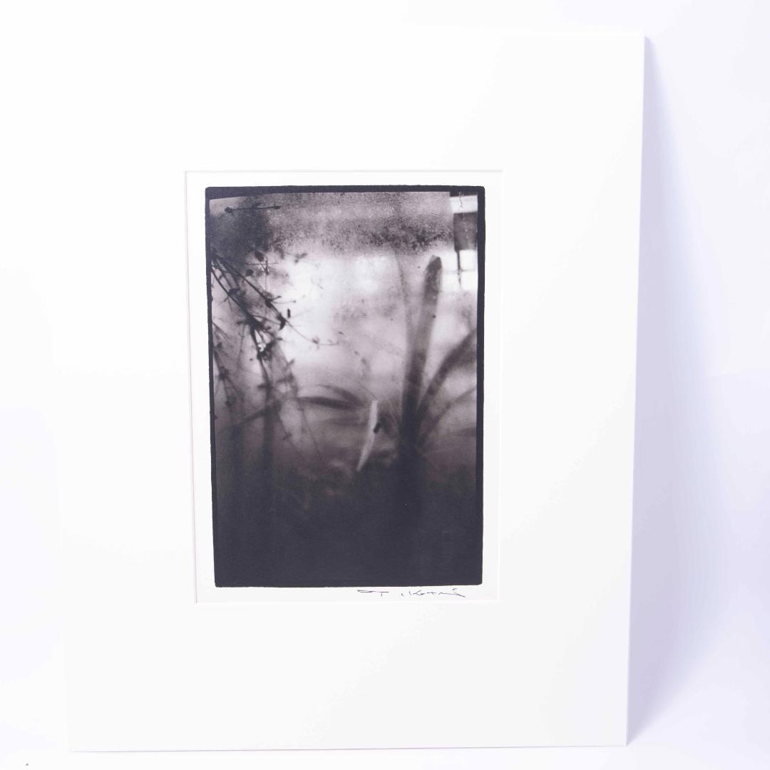 Nori  小瀧達郎 （ギャラリーバウハウス主宰）ゼラチンシルバープリント ゼラチンシルバープリント | 写真と文具