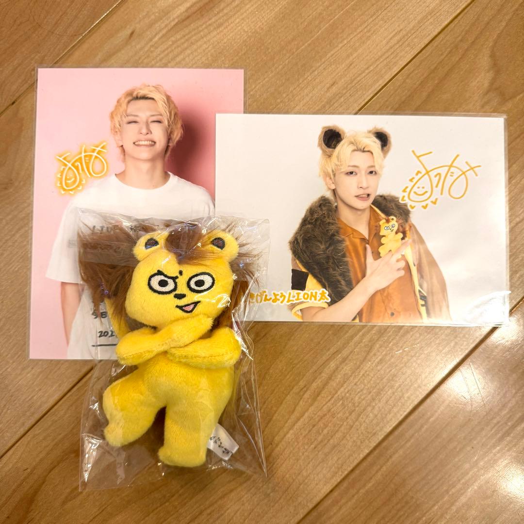 パンダドラゴン ようた Yo!!LION太 ぬいぐるみ 2L - メルカリ