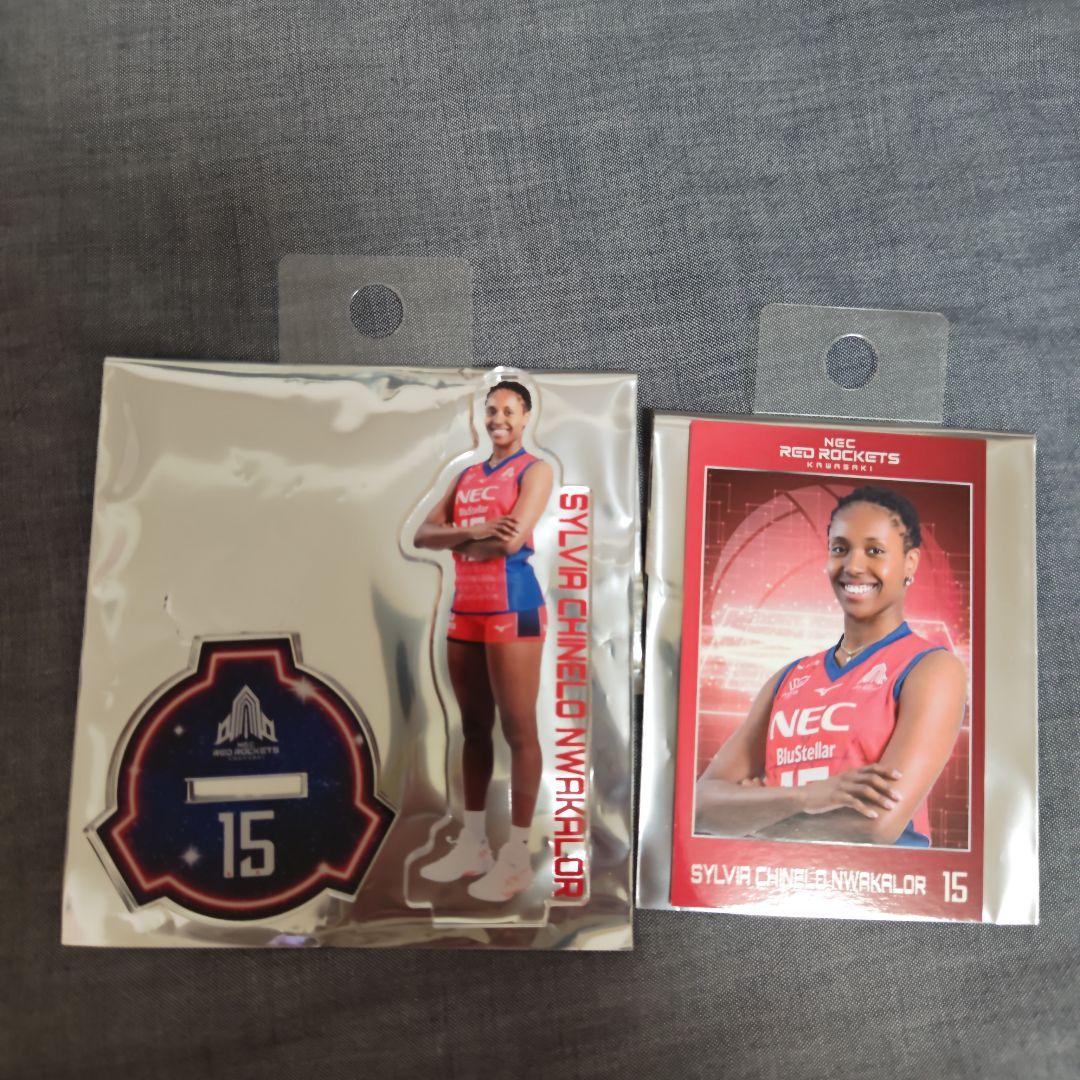 NECレッドロケッツ川崎 #15シルビア・チネロ・ヌワカロール アクスタ