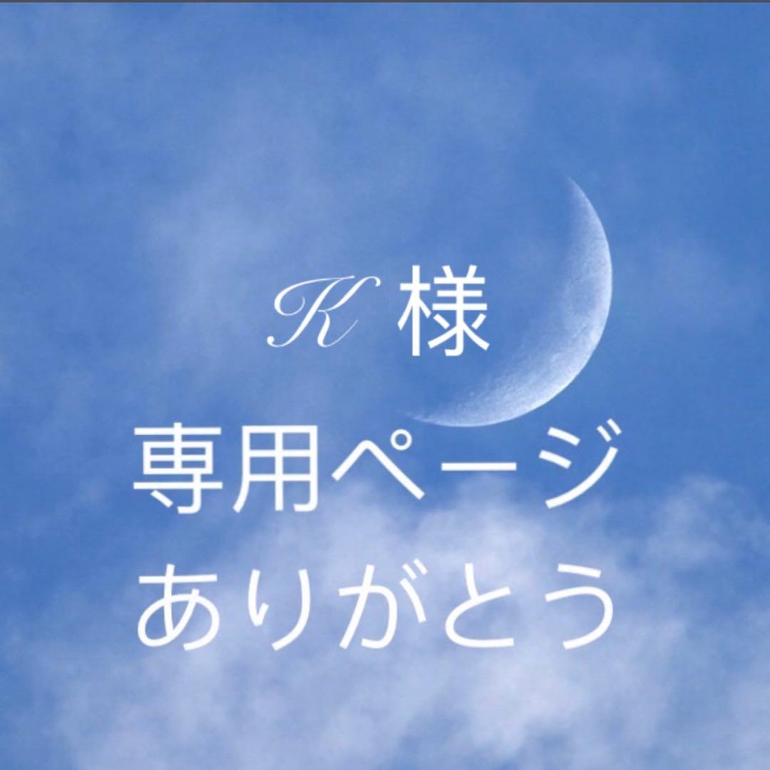 Kページ　485 DS-K2804 - Controllers HIKVISION - POLVISION