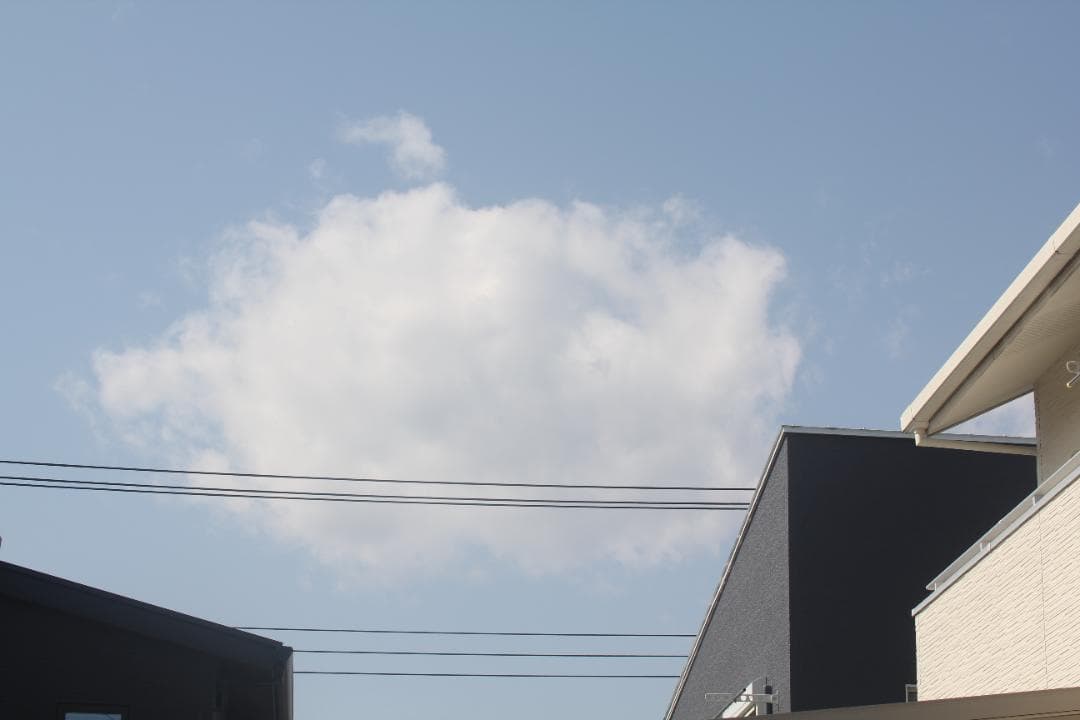 シグマ 50-500mm F4.5-6.3 APO DG OS キャノン用