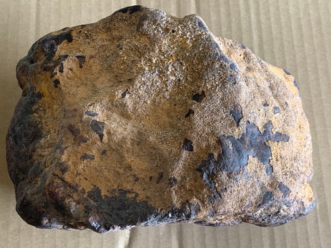 R1256」黑色新疆隕石 不完全燃焼皮付 非常に珍しい 隕石 約12kg - メルカリ