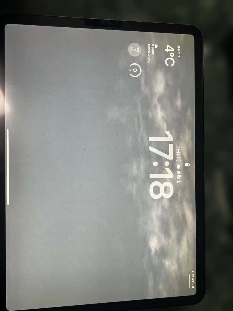 iPad Pro 11インチWI-FI Cellular 256GB GLAY Apple iPad Pro 11インチ 第3世代 Wi-Fi+Cellular 256GB 2021年春