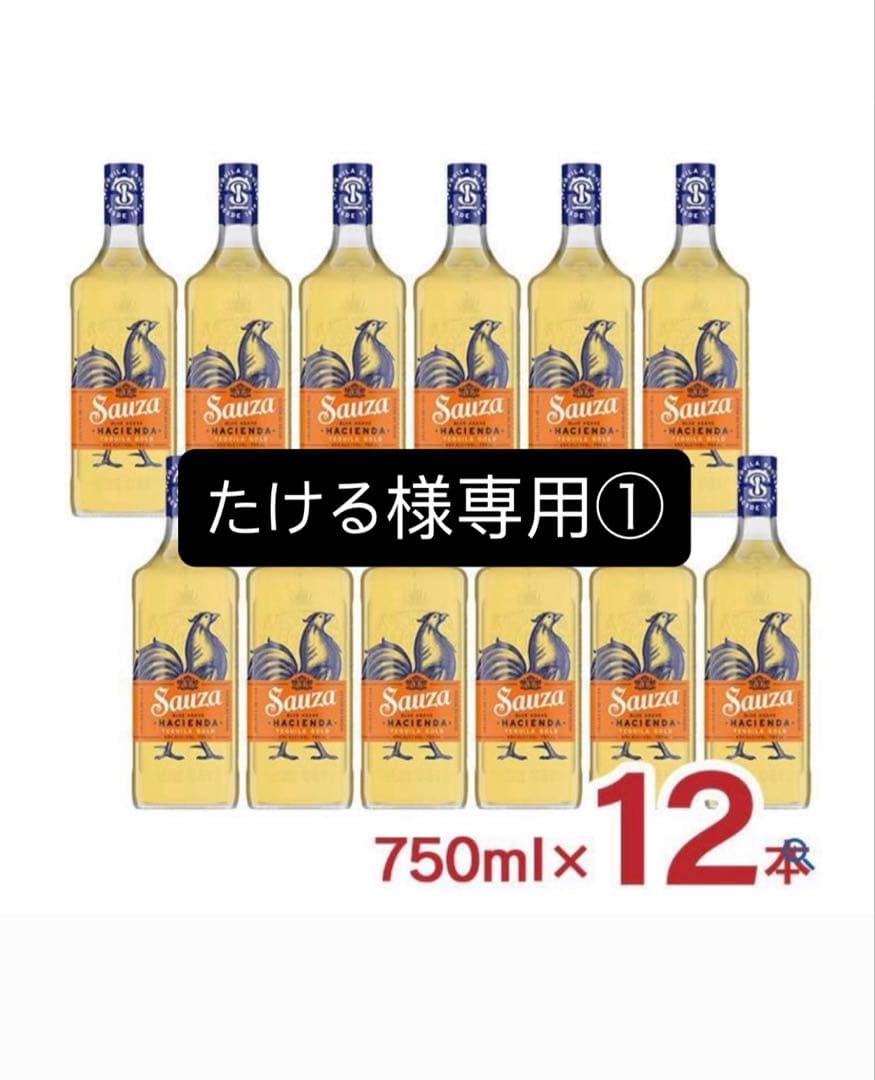 たける　サウザ1ケース① Captain Tsubasa J Get In The Tomorrow Sony Playstation 1 PS1 Japan