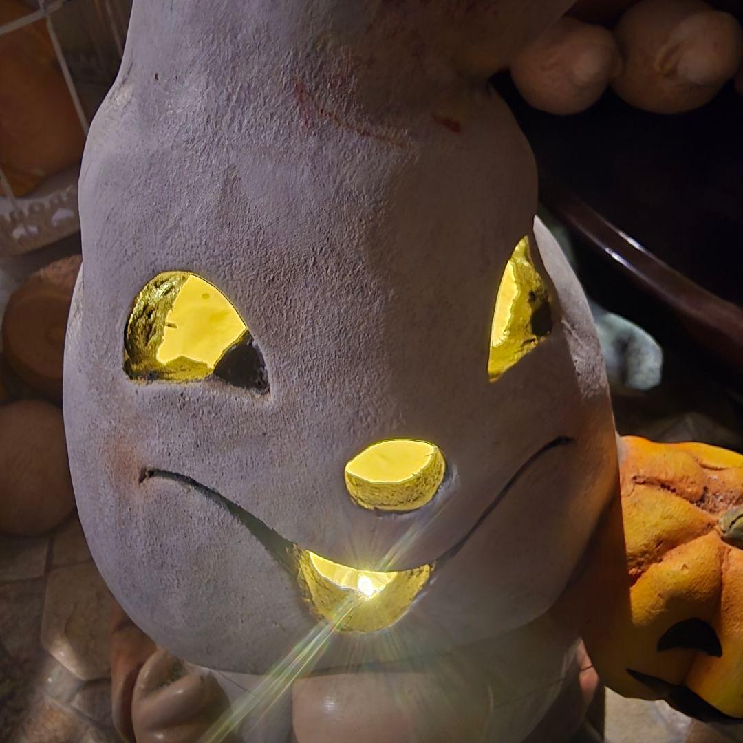 見たことのないとっても珍しいノームさんの電池ボックス式オブジェ♡1点もの໒꒱·