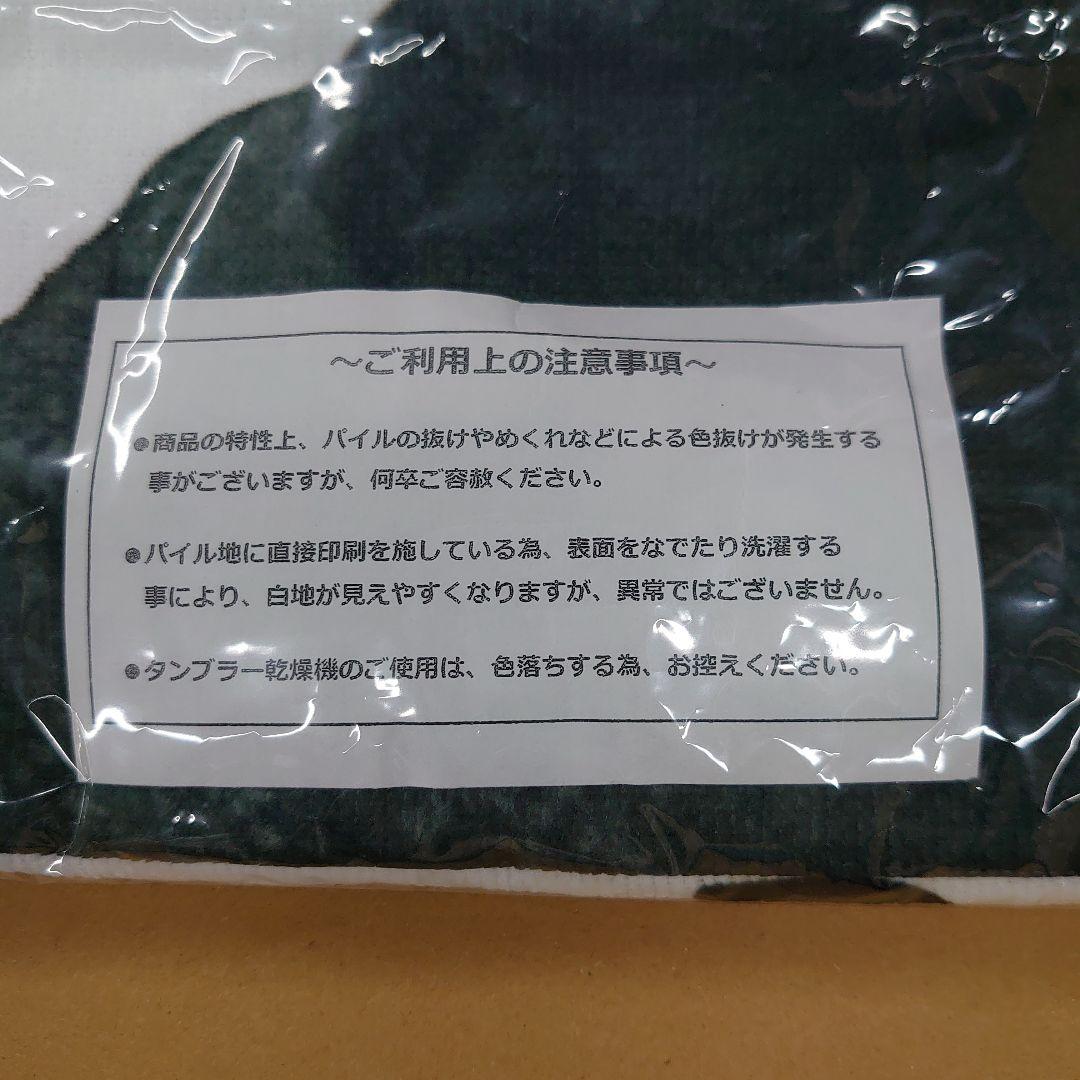 東京ヤクルトスワローズ つば九郎等身大タオルケット (まってたよ