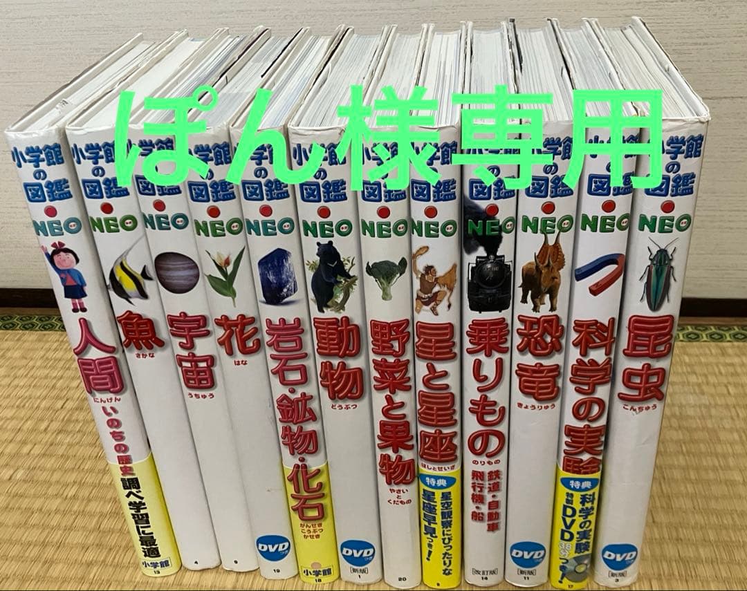 小学館の図鑑 NEO 全12巻 NEOスタート | 小学館の図鑑NEOシリーズ | 小学館