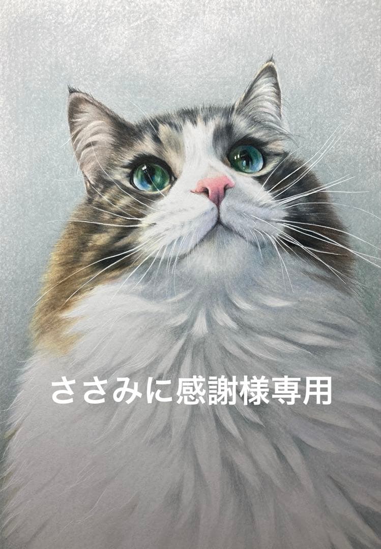 ささみに感謝 国産鶏ささみフレーク（オイル無添加） | BBマルシェ by 大地を守る会