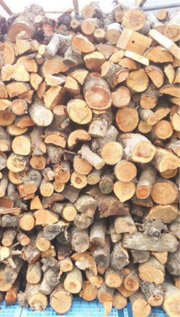 ken ken　長野市発　りんご薪 りんごの薪10kg 長野県産 (約40cm) 一箱 薪ストーブ・焚き火・BBQに