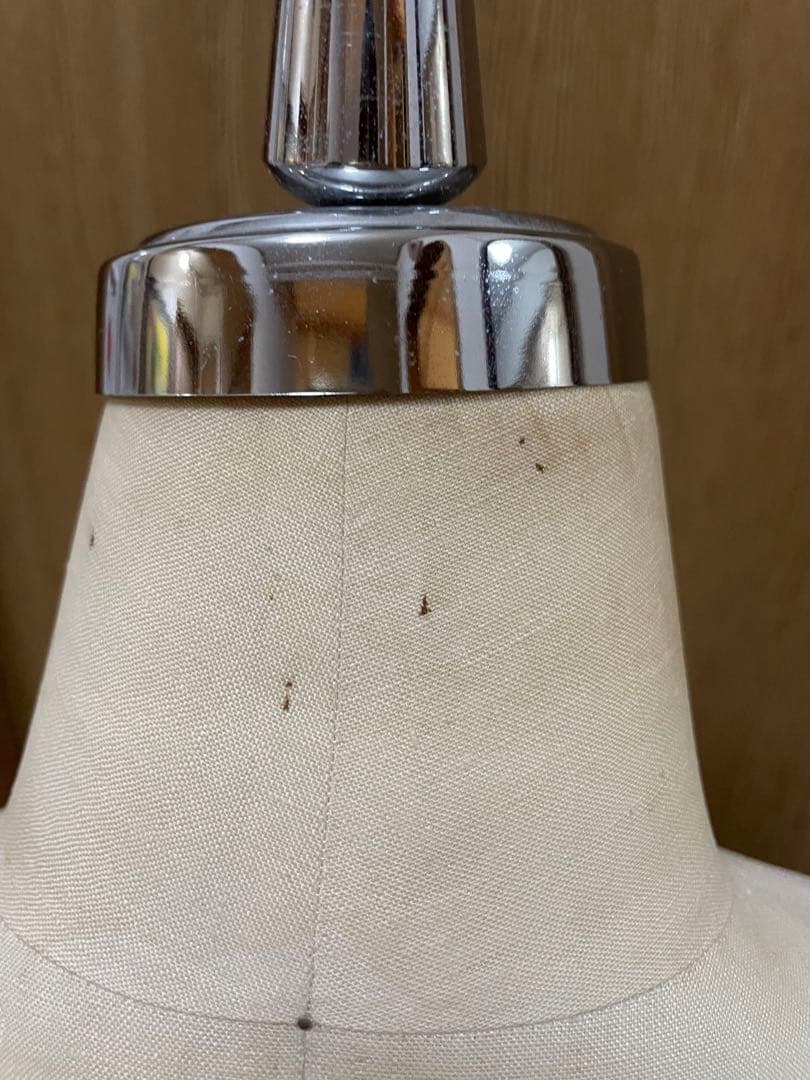 大洋工芸 ミス10号トルソー ボディ MISS10 AMIKO アミコ - メルカリ